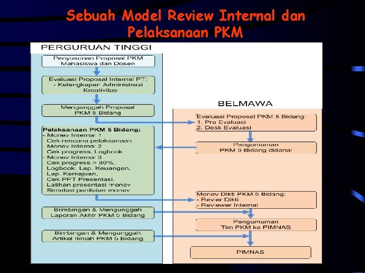 Sebuah Model Review Internal dan Pelaksanaan PKM 