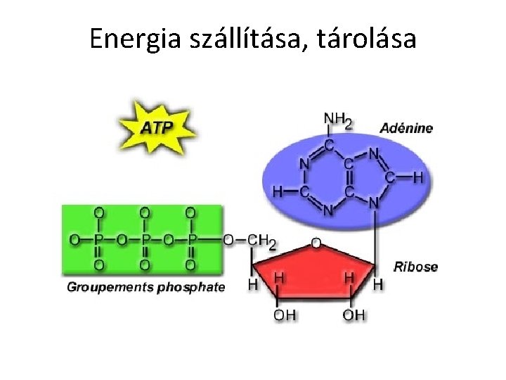 Energia szállítása, tárolása 