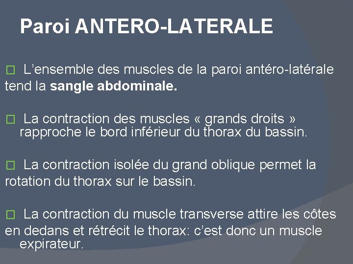 Paroi ANTERO-LATERALE L’ensemble des muscles de la paroi antéro-latérale tend la sangle abdominale. �