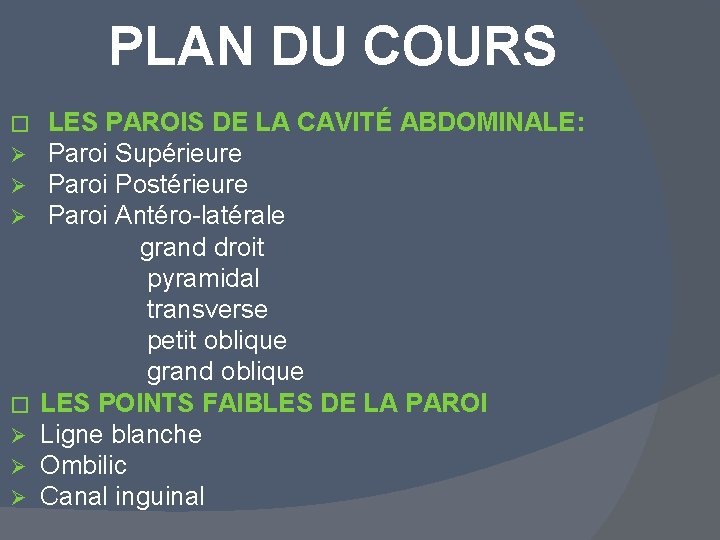 PLAN DU COURS � Ø Ø Ø LES PAROIS DE LA CAVITÉ ABDOMINALE: Paroi