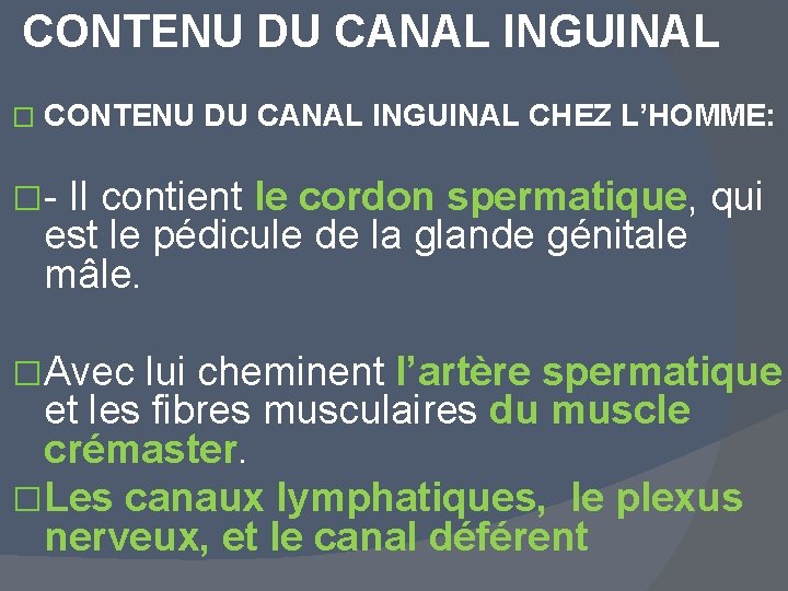 CONTENU DU CANAL INGUINAL � CONTENU DU CANAL INGUINAL CHEZ L’HOMME: �- Il contient