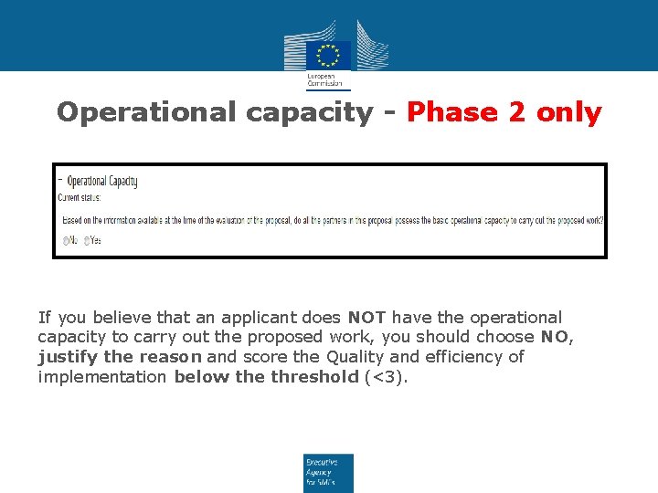 Operational capacity - Phase 2 only If you believe that an applicant does NOT