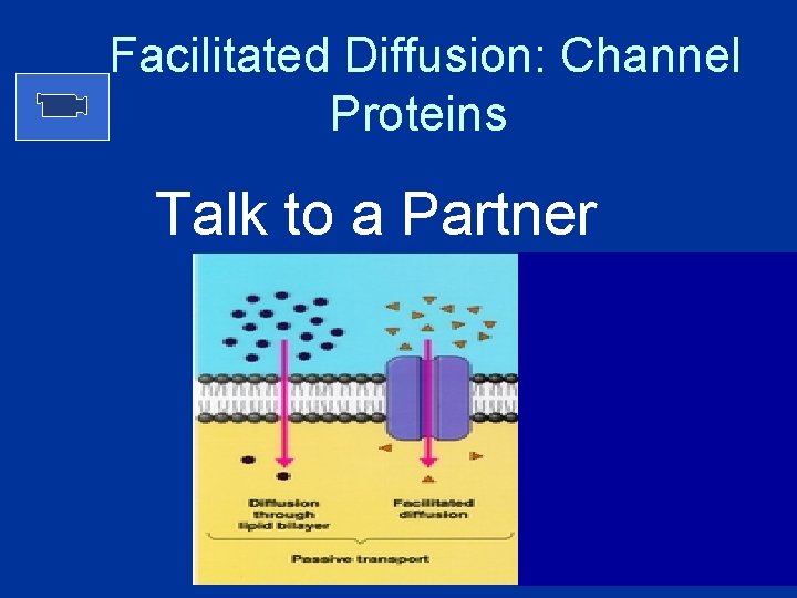 Facilitated Diffusion: Channel Proteins Talk to a Partner Facilitated Diffusion: Channel Proteins Talk to a Partner