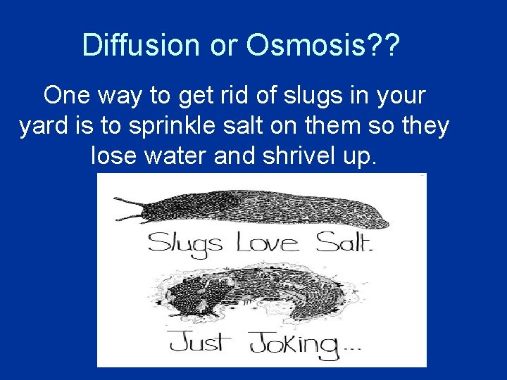 Diffusion or Osmosis? ? One way to get rid of slugs in your yard Diffusion or Osmosis? ? One way to get rid of slugs in your yard
