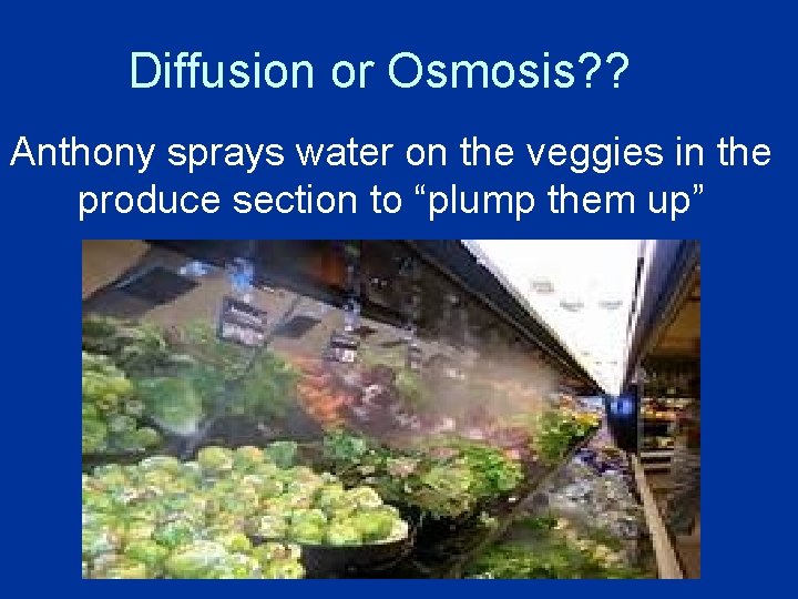Diffusion or Osmosis? ? Anthony sprays water on the veggies in the produce section Diffusion or Osmosis? ? Anthony sprays water on the veggies in the produce section