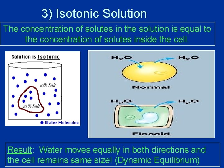 3) Isotonic Solution The concentration of solutes in the solution is equal to the 3) Isotonic Solution The concentration of solutes in the solution is equal to the