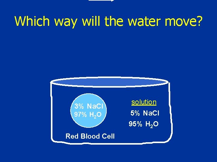 Which way will the water move? 3% Na. Cl 97% H 2 O Red Which way will the water move? 3% Na. Cl 97% H 2 O Red