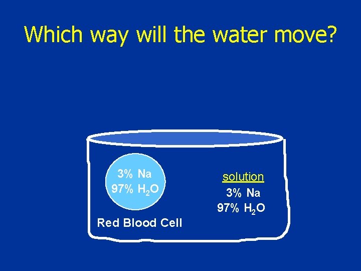 Which way will the water move? 3% Na 97% H 2 O Red Blood Which way will the water move? 3% Na 97% H 2 O Red Blood