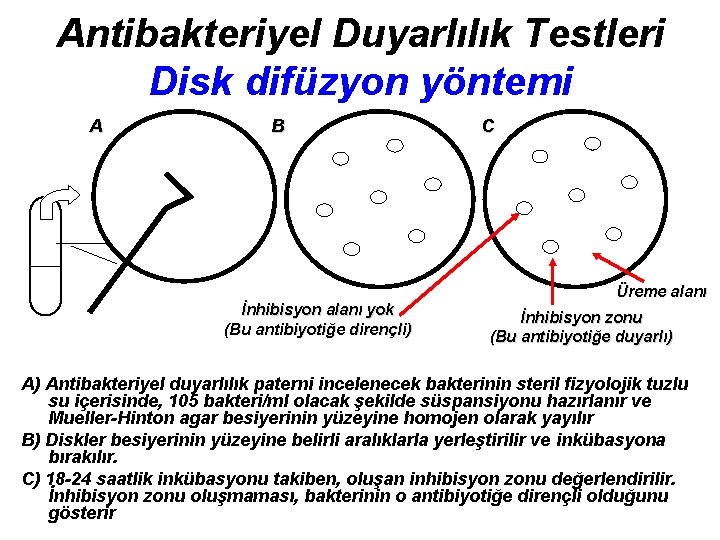 Antibakteriyel Duyarlılık Testleri Disk difüzyon yöntemi A B C Üreme alanı İnhibisyon alanı yok