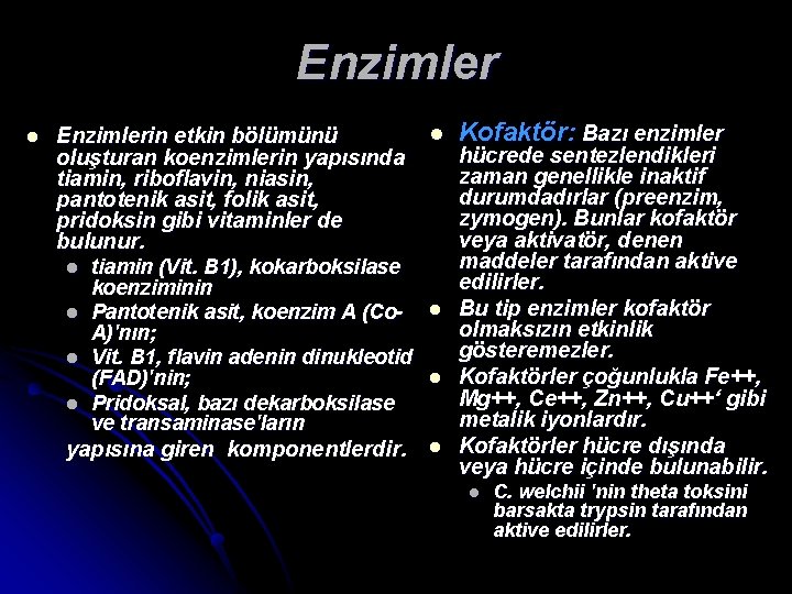 Enzimler l l Kofaktör: Bazı enzimler Enzimlerin etkin bölümünü hücrede sentezlendikleri oluşturan koenzimlerin yapısında