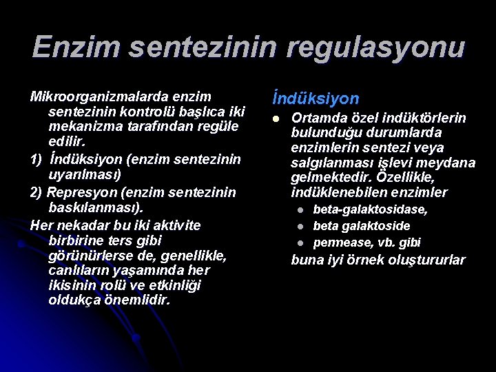 Enzim sentezinin regulasyonu Mikroorganizmalarda enzim sentezinin kontrolü başlıca iki mekanizma tarafından regüle edilir. 1)