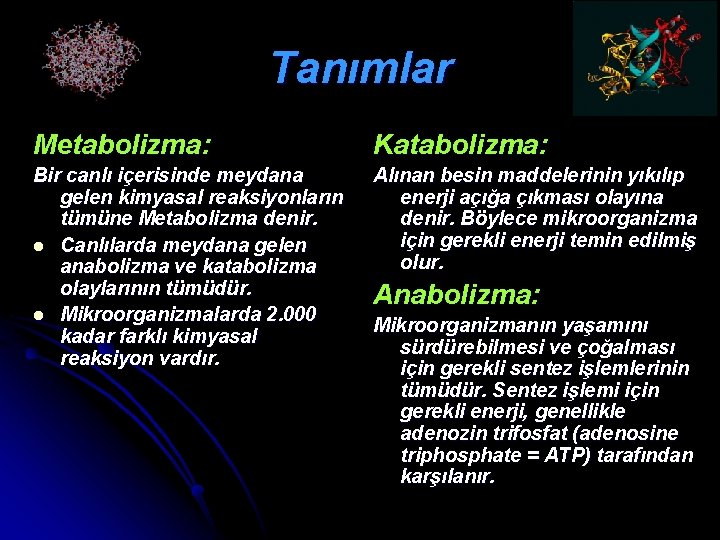 Tanımlar Metabolizma: Katabolizma: Bir canlı içerisinde meydana gelen kimyasal reaksiyonların tümüne Metabolizma denir. l