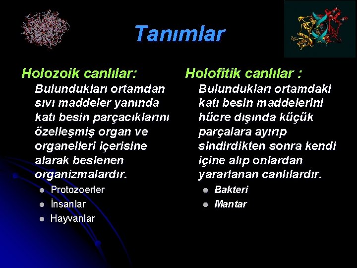 Tanımlar Holozoik canlılar: Bulundukları ortamdan sıvı maddeler yanında katı besin parçacıklarını özelleşmiş organ ve