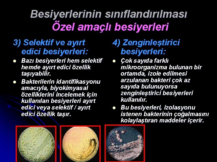 Besiyerlerinin sınıflandırılması Özel amaçlı besiyerleri 3) Selektif ve ayırt edici besiyerleri: l l Bazı