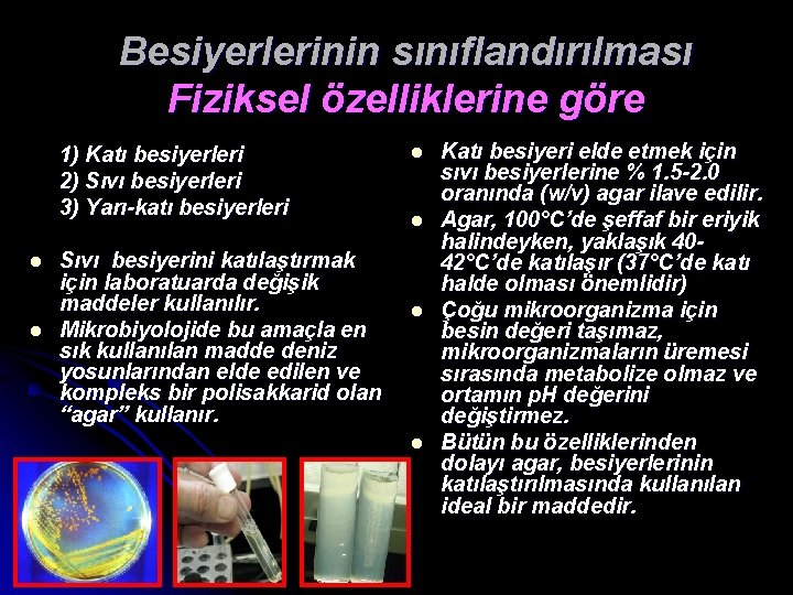 Besiyerlerinin sınıflandırılması Fiziksel özelliklerine göre 1) Katı besiyerleri 2) Sıvı besiyerleri 3) Yarı-katı besiyerleri