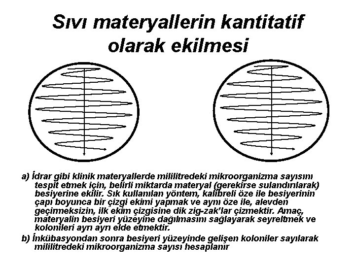 Sıvı materyallerin kantitatif olarak ekilmesi a) İdrar gibi klinik materyallerde mililitredeki mikroorganizma sayısını tespit