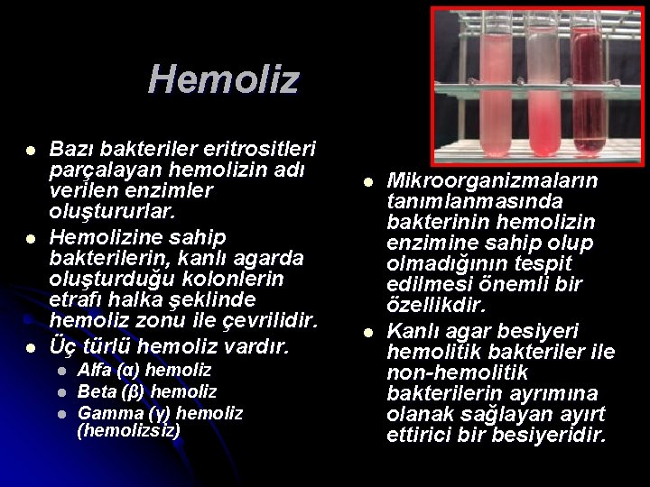 Hemoliz l l l Bazı bakteriler eritrositleri parçalayan hemolizin adı verilen enzimler oluştururlar. Hemolizine