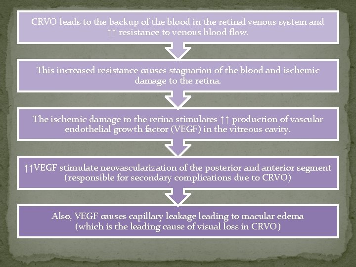 CRVO leads to the backup of the blood in the retinal venous system and
