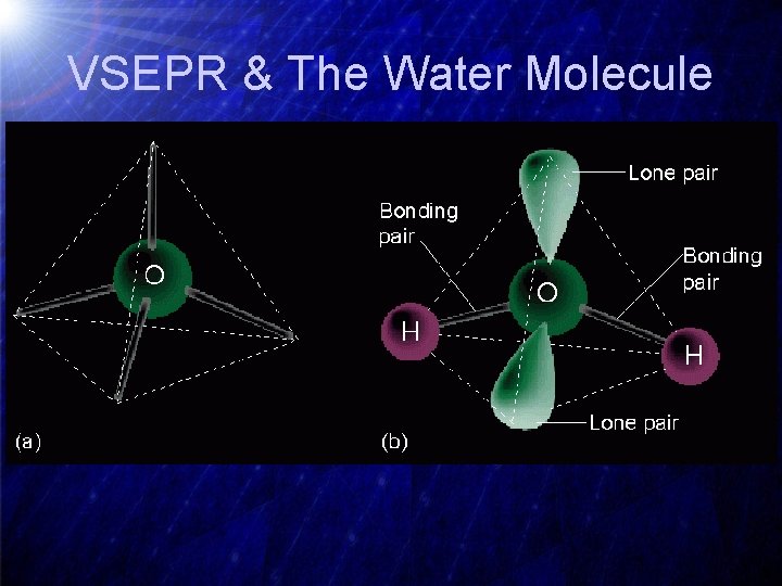 VSEPR & The Water Molecule 
