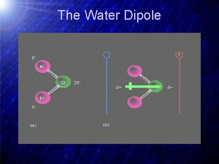 The Water Dipole 