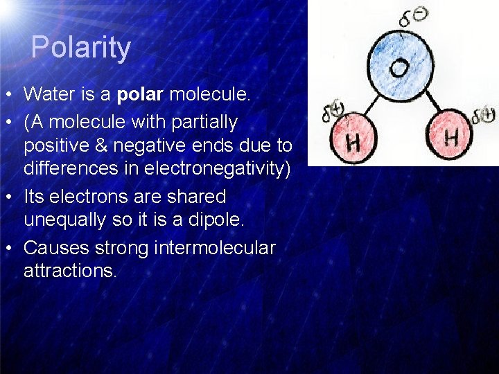 Polarity • Water is a polar molecule. • (A molecule with partially positive &