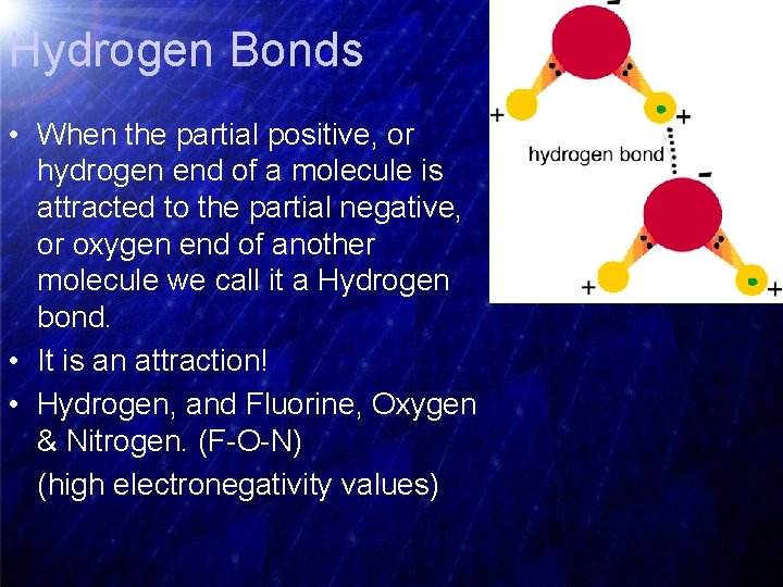 Hydrogen Bonds • When the partial positive, or hydrogen end of a molecule is