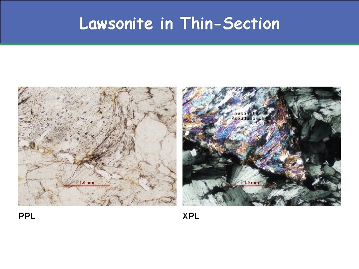 Lawsonite in Thin-Section PPL XPL 