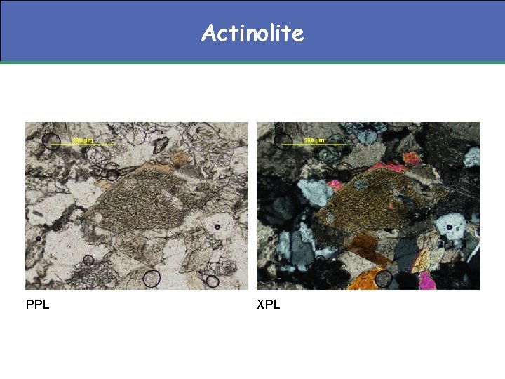 Actinolite PPL XPL 
