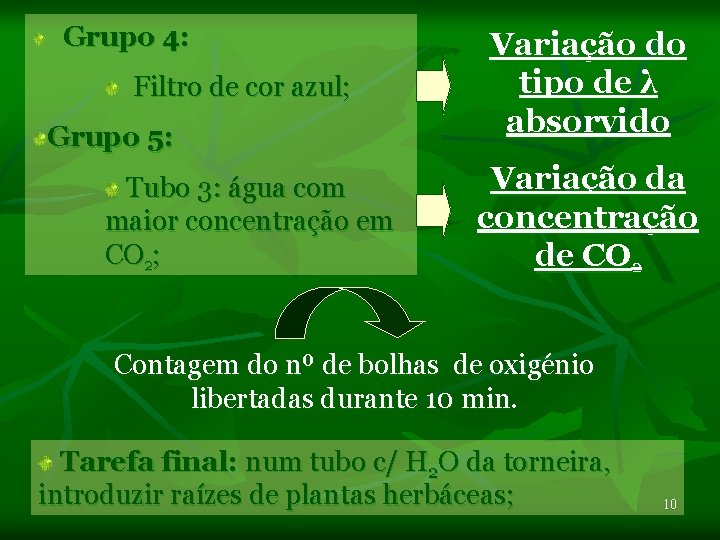 Grupo 4: Filtro de cor azul; Grupo 5: Tubo 3: água com maior concentração