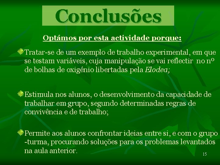 Conclusões Optámos por esta actividade porque: Tratar-se de um exemplo de trabalho experimental, em