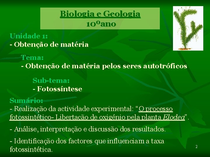 Biologia e Geologia 10ºano Unidade 1: - Obtenção de matéria Tema: - Obtenção de