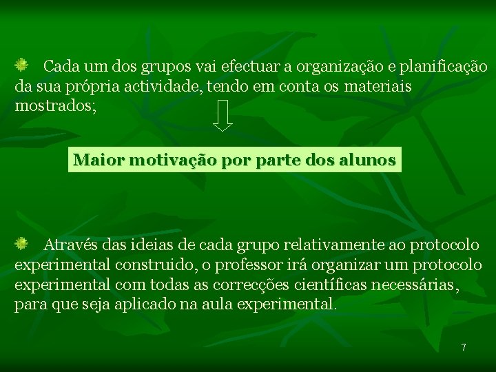 Cada um dos grupos vai efectuar a organização e planificação da sua própria actividade,