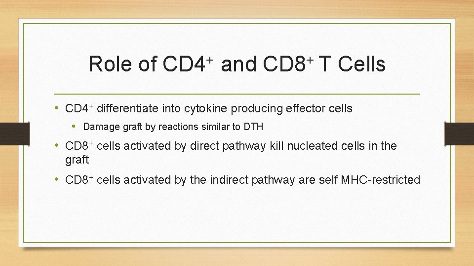 + + Role of CD 4 and CD 8 T Cells • CD 4+