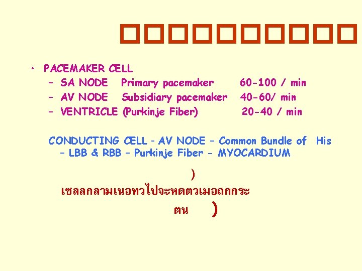 ����� • PACEMAKER CELL – SA NODE Primary pacemaker – AV NODE Subsidiary pacemaker