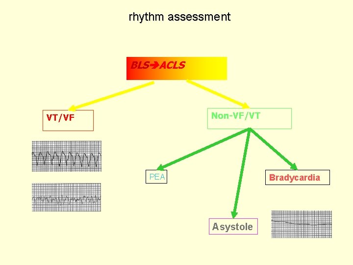rhythm assessment BLS ACLS Non-VF/VT VT/VF PEA Bradycardia Asystole 