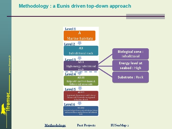 Methodology : a Eunis driven top-down approach Biological zone : Infralittoral Energy level at