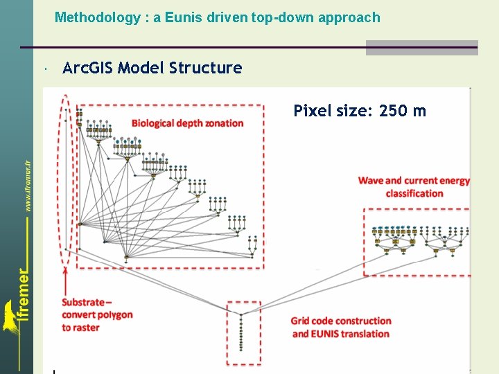 Methodology : a Eunis driven top-down approach Arc. GIS Model Structure Pixel size: 250