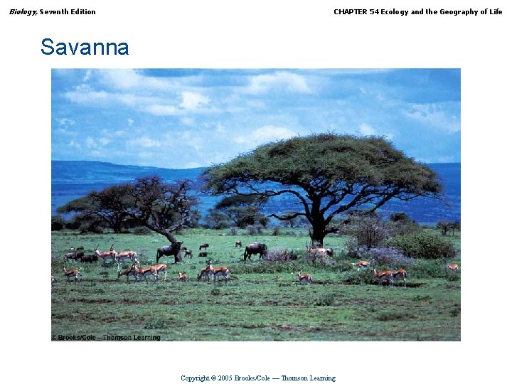 Biology, Seventh Edition CHAPTER 54 Ecology and the Geography of Life Savanna Copyright ©