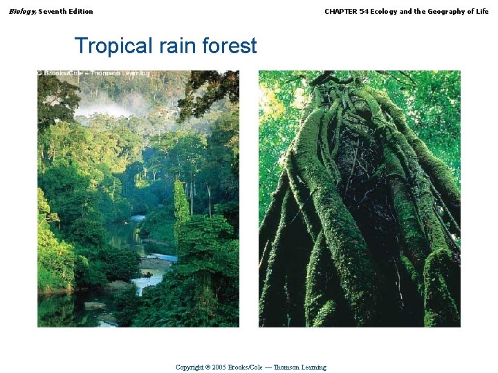 Biology, Seventh Edition CHAPTER 54 Ecology and the Geography of Life Tropical rain forest