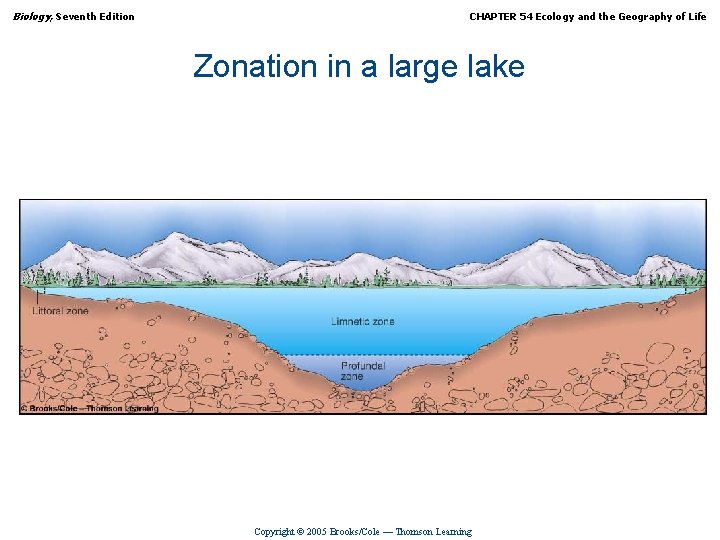 Biology, Seventh Edition CHAPTER 54 Ecology and the Geography of Life Zonation in a