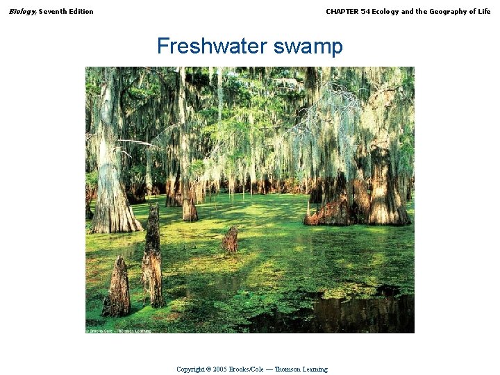 Biology, Seventh Edition CHAPTER 54 Ecology and the Geography of Life Freshwater swamp Copyright