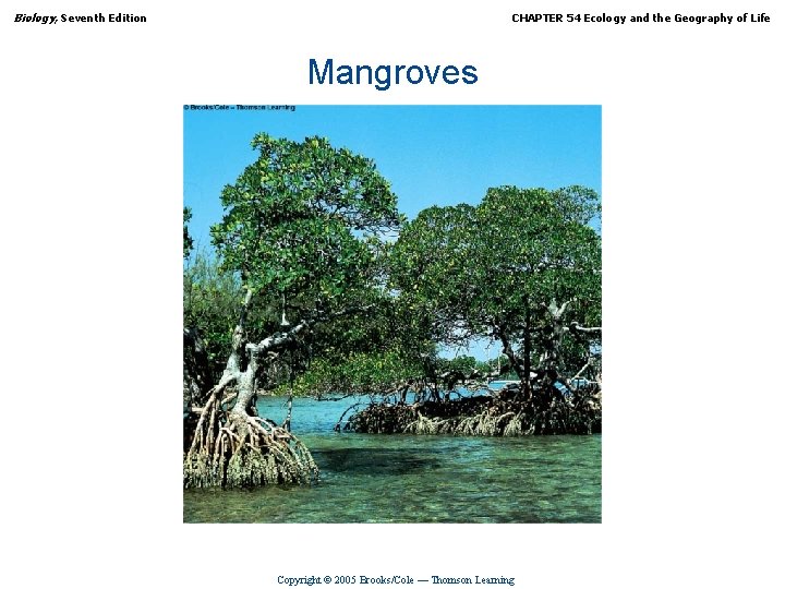 Biology, Seventh Edition CHAPTER 54 Ecology and the Geography of Life Mangroves Copyright ©