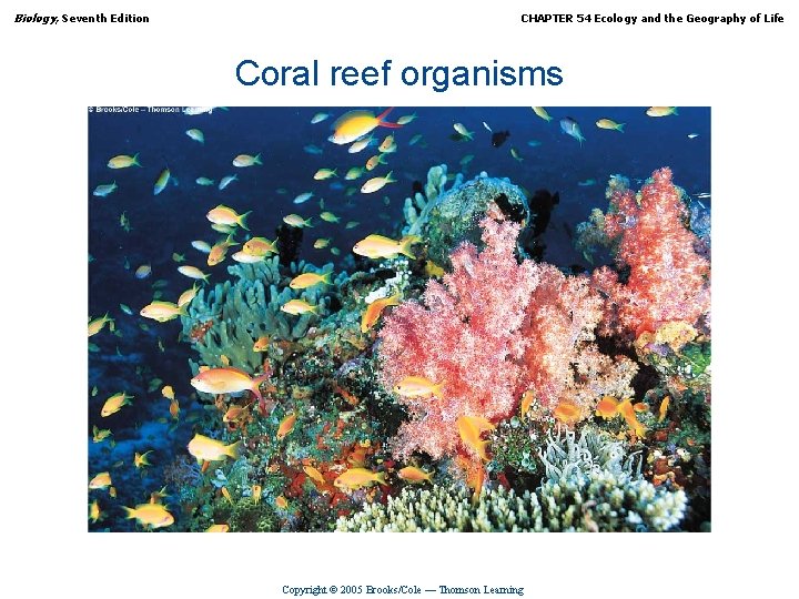 Biology, Seventh Edition CHAPTER 54 Ecology and the Geography of Life Coral reef organisms