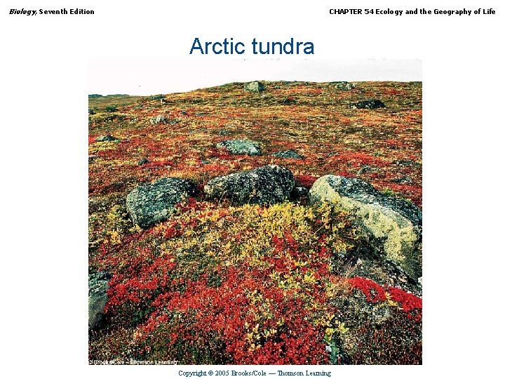 Biology, Seventh Edition CHAPTER 54 Ecology and the Geography of Life Arctic tundra Copyright