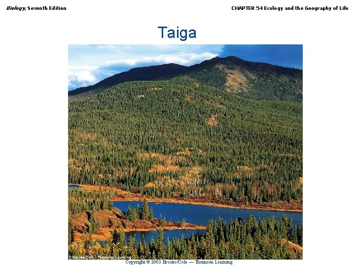 Biology, Seventh Edition CHAPTER 54 Ecology and the Geography of Life Taiga Copyright ©