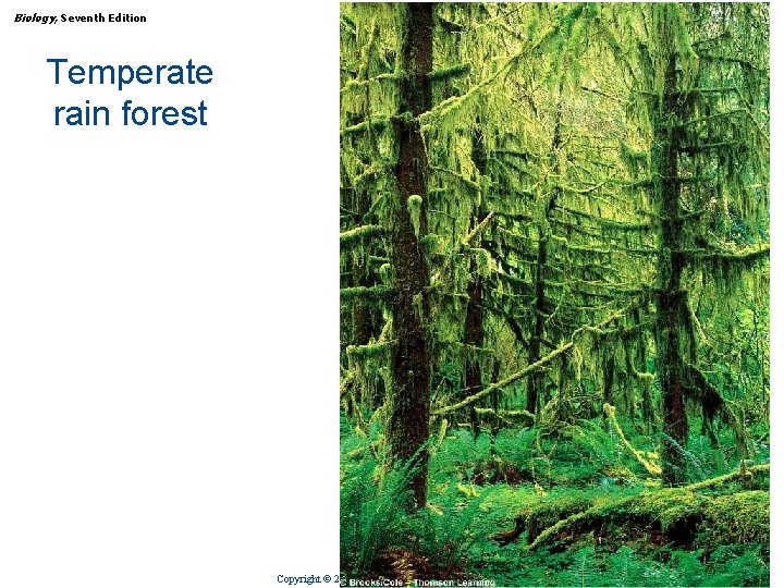 Biology, Seventh Edition CHAPTER 54 Ecology and the Geography of Life Temperate rain forest