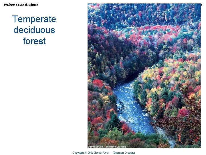 Biology, Seventh Edition CHAPTER 54 Ecology and the Geography of Life Temperate deciduous forest