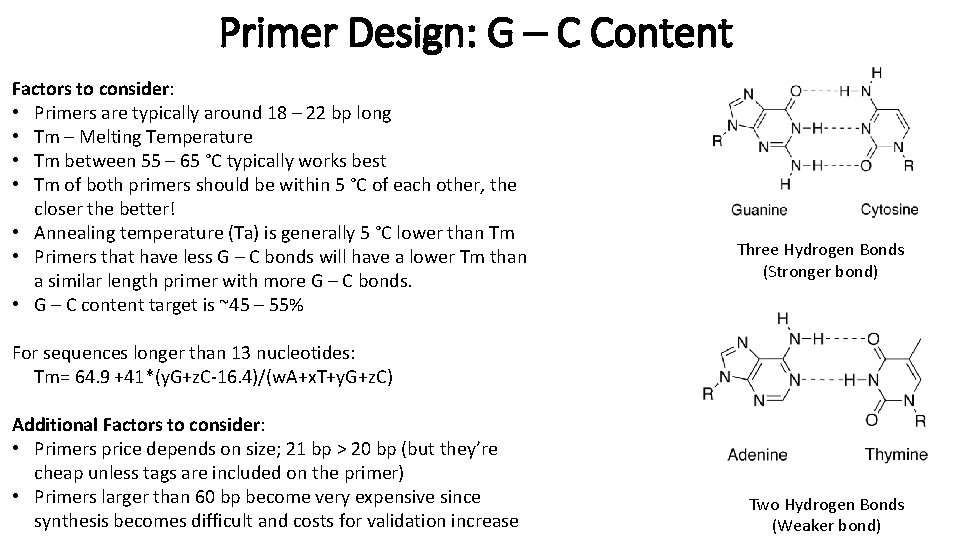 Primer Design: G – C Content Factors to consider: • Primers are typically around