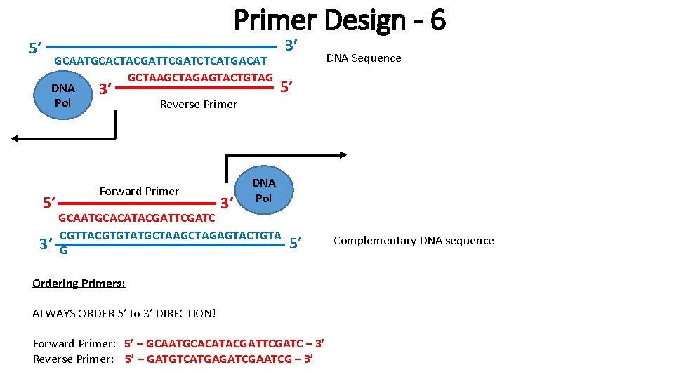 5’ Primer Design - 6 GCAATGCACTACGATTCGATCTCATGACAT C GCTAAGCTAGAGTACTGTAG DNA 3’ Pol Reverse Primer 5’