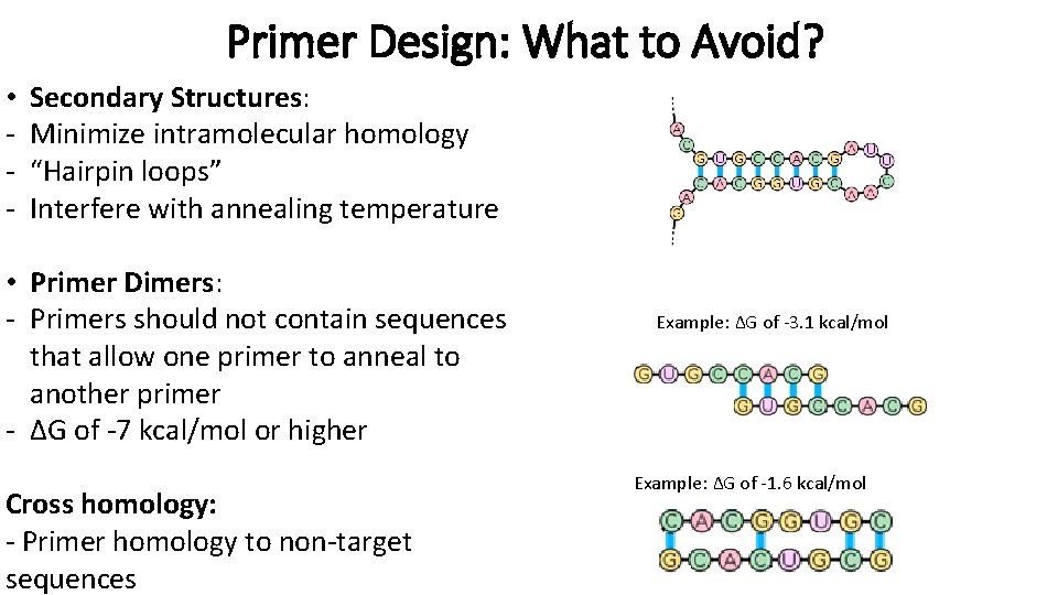Lecture 6 January 12 2016 Biotech 3 Lecture